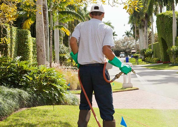 About Killen AL Pest Control